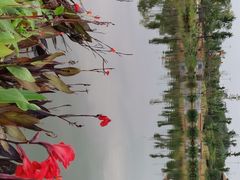 -枫香湖儿童公园