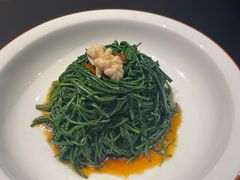 -蒙料·手把肉(望京店)