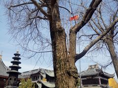 -上海青龙寺