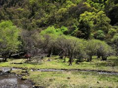 -叠溪松坪沟景区