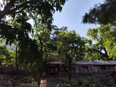 -北京凤凰岭