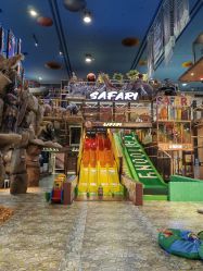 -卡通尼·Safari非洲探索乐园·生日会(金桥国际商业广场店)