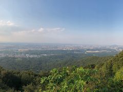 -紫金山天文台