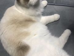 -零纪元VR体验馆·桌游(黄浦店)