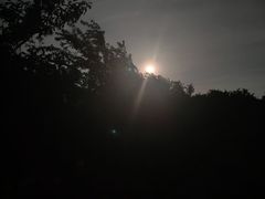-东白山