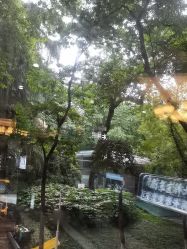 -南京医科大学友谊整形外科医院