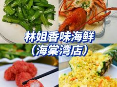 -亚龙湾热带天堂森林公园