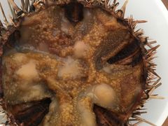 -海胆小馆(东北水饺·春柳店)