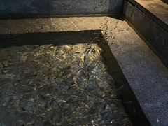 -明谷行馆·温泉