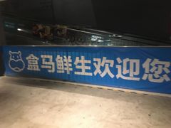 -盒马X会员店(王府井奥莱UP TOWN店)