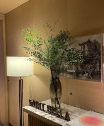 -圣贝拉母婴护理中心(广州瑰丽店)
