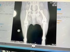 -美联众合动物医院·24h转诊中心
