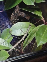 -酷嗒动物文化乐园(cutezoo西溪乐天城店)