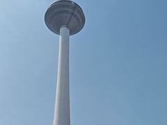 -辽宁电视塔