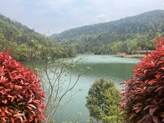 -桃花岭景区