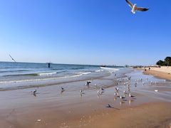 -老虎石海上公园