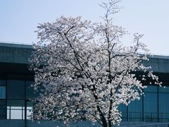 -上海辰山植物园