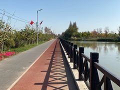 -上海长兴岛郊野公园