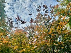 -西郊宾馆·1921餐厅