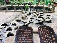 -成都市活水公园