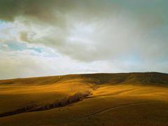 -塞罕坝国家级自然保护区