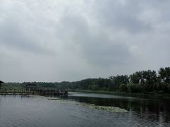 -溱湖国家湿地公园