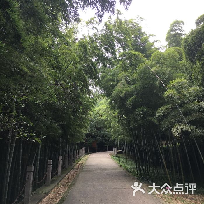 青山公園