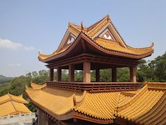 -深圳仙湖植物园