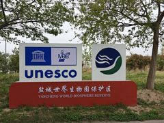 -盐城丹顶鹤湿地生态旅游区