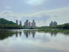 -前关湿地公园