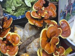 -王婆炒鱼(总店)