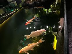 -Love Story爱情故事·养生SPA会所(新侨店)