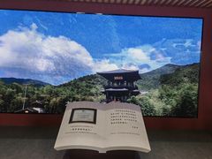 -大唐贡茶院