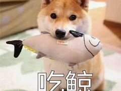 -沈妈砂锅(光华村店)