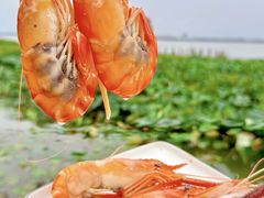 -七的湖·晚芳亭·阳澄湖农家菜·大闸蟹(莲花岛店)