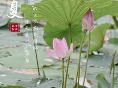 -艾溪湖湿地公园