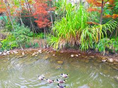 -梅峰山地公园