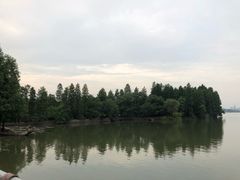 -东湖落雁景区