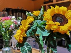 -天一朴素(武汉大学店)