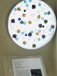 -时光海科学美肤中心