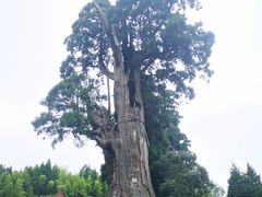-云中大漈
