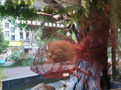 -院里寻菜·精致庭院菜(观沙岭店)