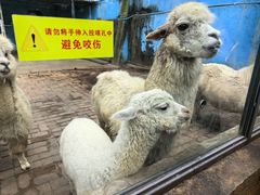 -攀枝花公园