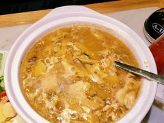 野生菌炖土鸡-滇铺子(欣都龙城店)