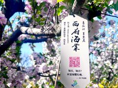 -元大都城垣遗址公园