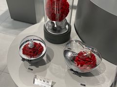 -ROSEONLY诺誓(国际广场购物中心店)