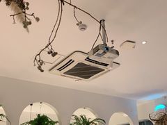 -春树下·树屋花房西餐厅(罍街AS1980店)