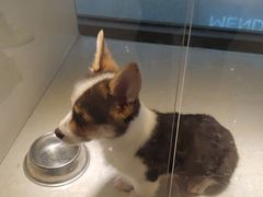 -乐宠宠物店(世纪金源店)