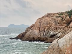 -广东惠东海龟国家级自然保护区
