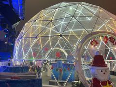 -Wolfgang’s Steakhouse 沃夫冈牛排馆(上海白玉兰广场店)